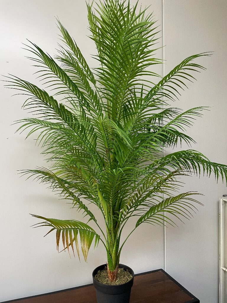 Kunstplant palmier, Maison & Meubles, Accessoires pour la Maison | Plantes & Fleurs artificielles, 140 cm, Vert, Plante artificielle