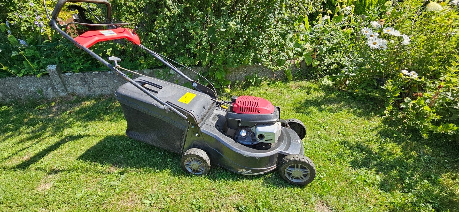 Sentar 50cm zelftrekker met Honda GCV160 motor., Ophalen