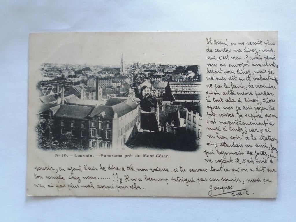 LOUVAIN 1901 LOUVAIN PANORAMA PRIS DU MONT CESAR, Collections, Envoi, Avant 1920, Affranchie, Brabant Flamand