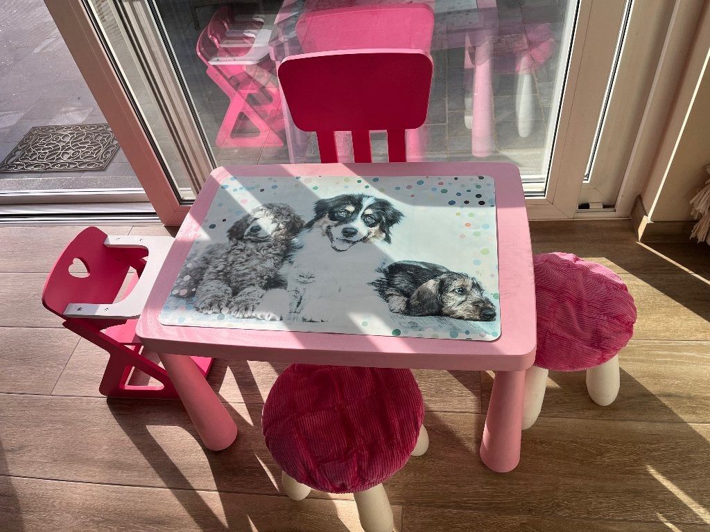 Kindertafeltje, Kinderen en Baby's, Ophalen, Gebruikt, Tafel(s) en Stoel(en)