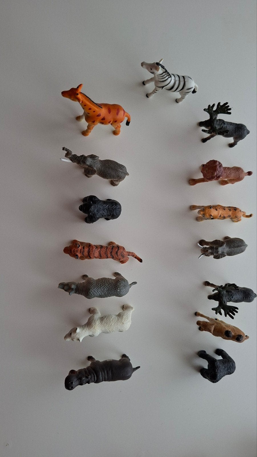 15 dieren uit de zoo, Ophalen, Zo goed als nieuw, Jongen of Meisje