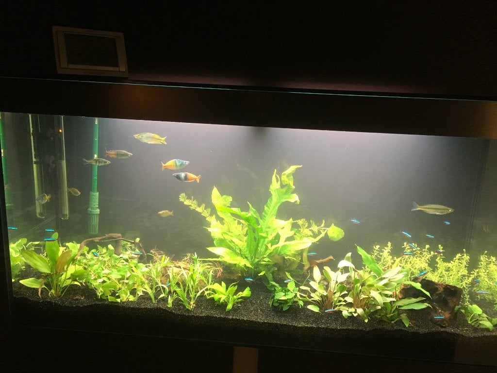 Aquarium, Aquarium vide, Chauffage, Enlèvement, Utilisé