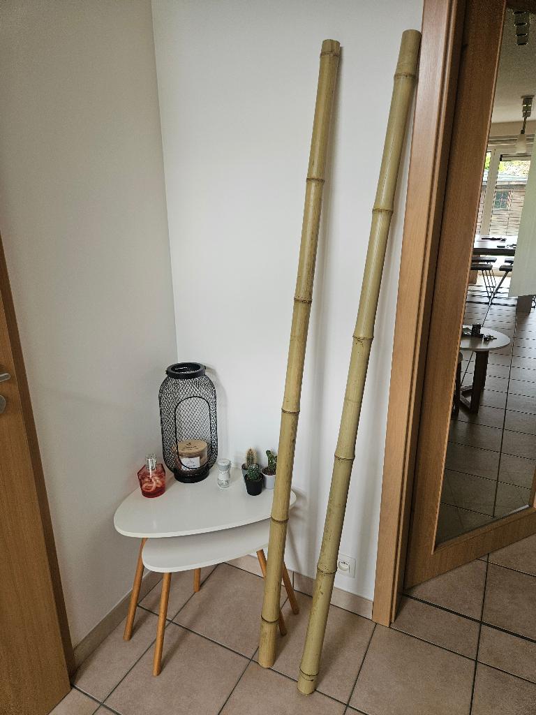 2 tiges de bambou Moso 180cm, Enlèvement