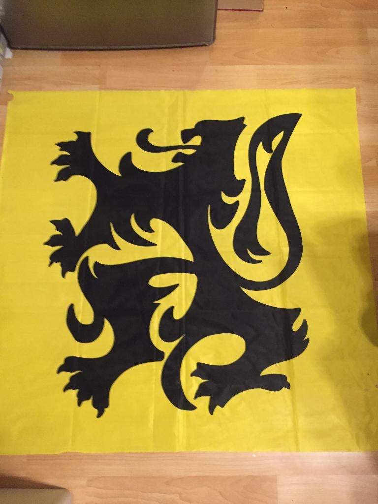 Vlag Vlaamse Leeuw, Ophalen of Verzenden, Zo goed als nieuw