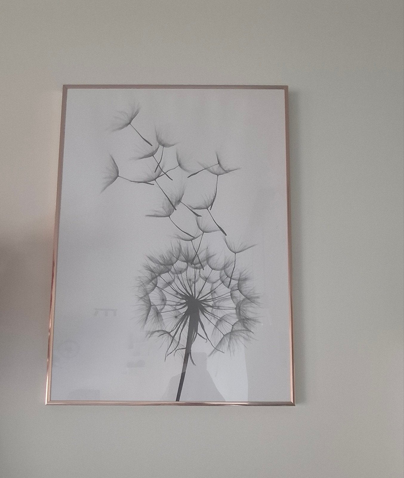 Fotokader bloem, Huis en Inrichting, Ophalen