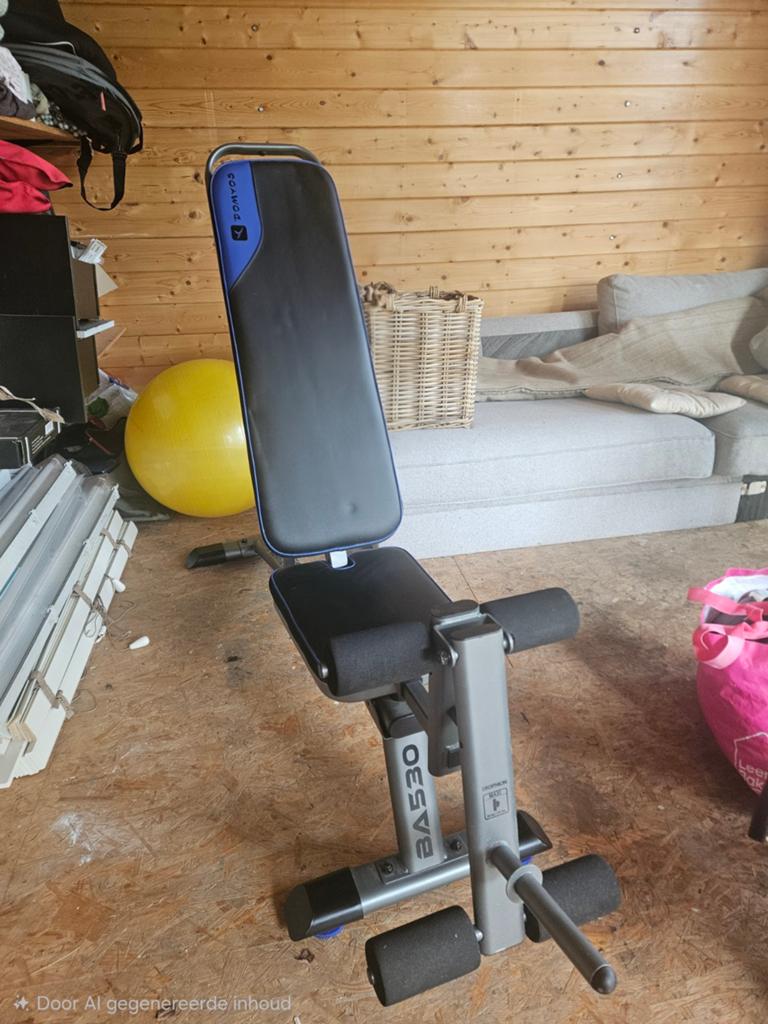 Fitnessbank, Sport en Fitness, Fitnessmaterialen, Ophalen of Verzenden, Fitnessbank