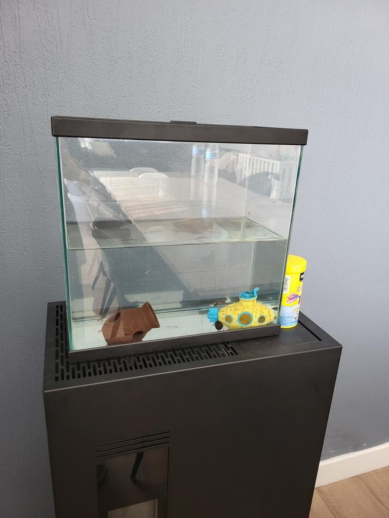 Aquarium met alle spullen en vissen, Dieren en Toebehoren, Ophalen