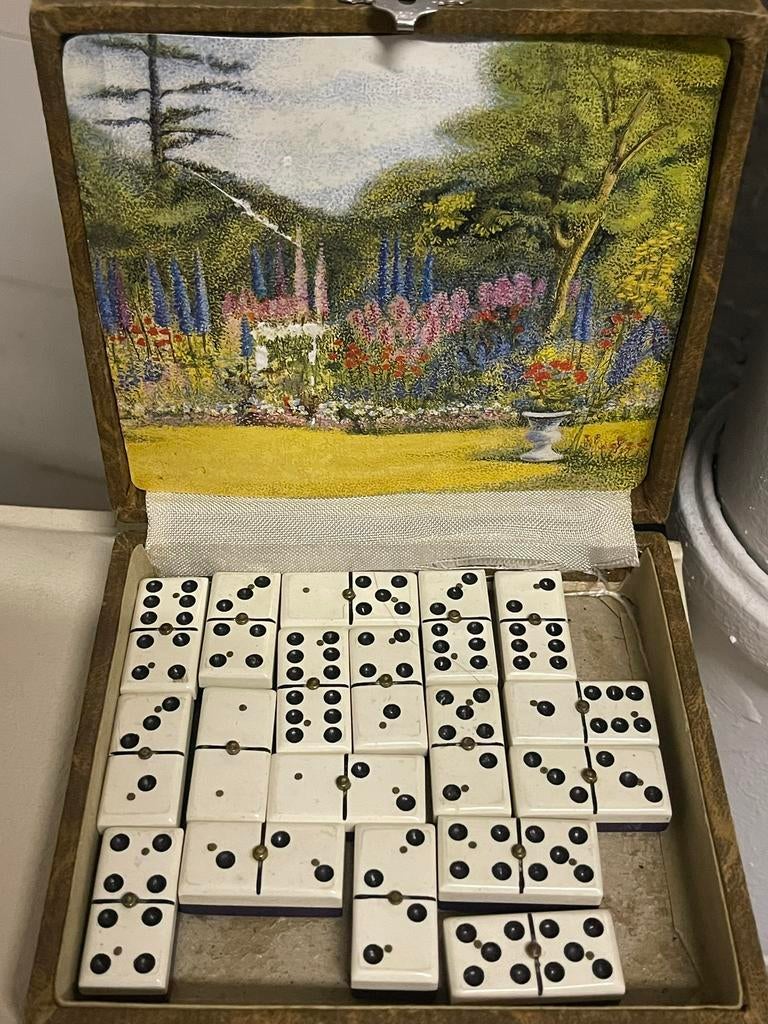 Vintage Dominos-spel in een geïllustreerde doos, Ophalen of Verzenden, Zo goed als nieuw