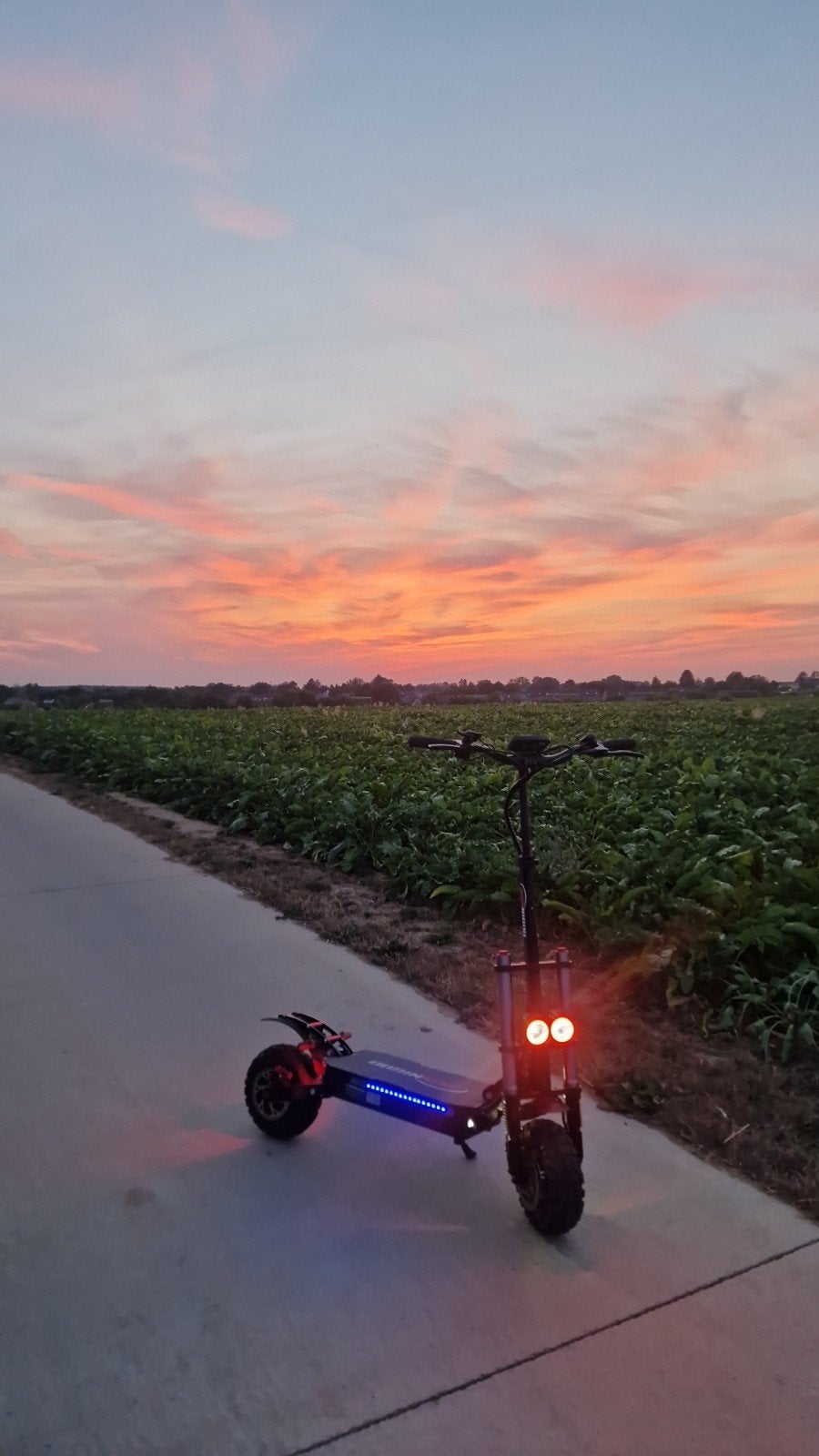 Sunnigoo x10, Enlèvement