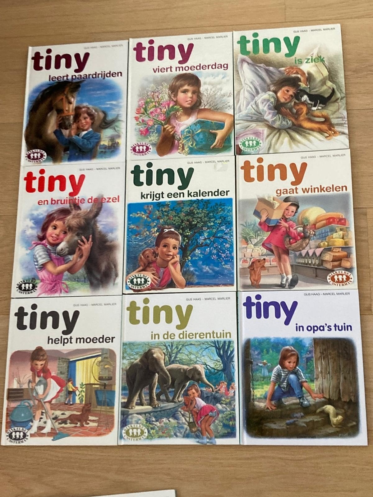 pakket met 16 tiny boeken, Boeken, Ophalen of Verzenden