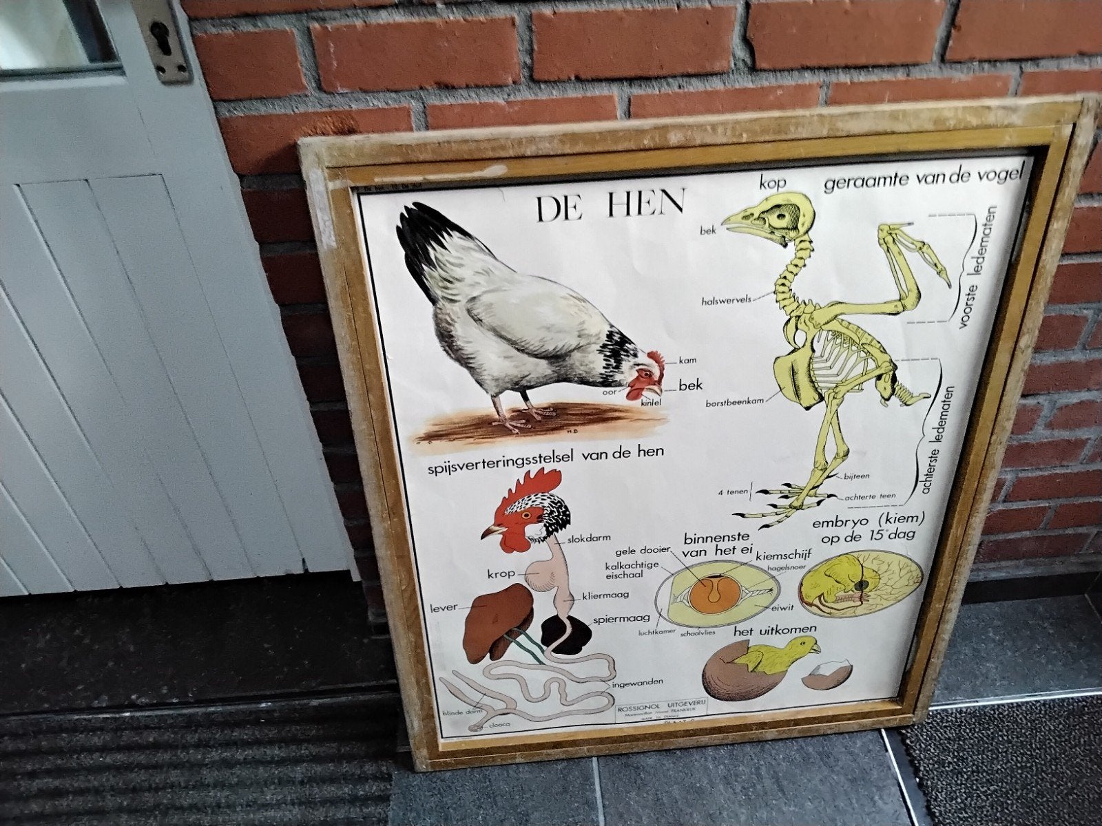 oude  schoolkader   van    dieren, Enlèvement ou Envoi