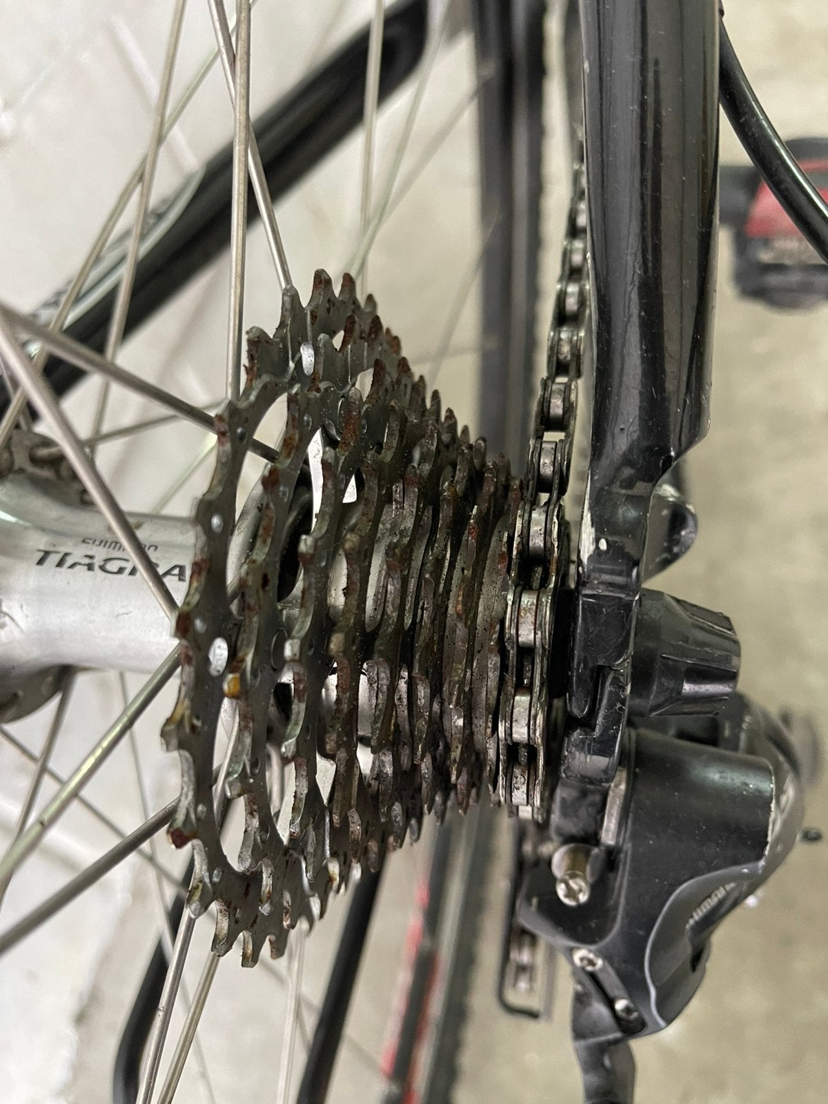 Ridley, Gebruikt, Velgrem, 45 tot 49 cm, Geen vering