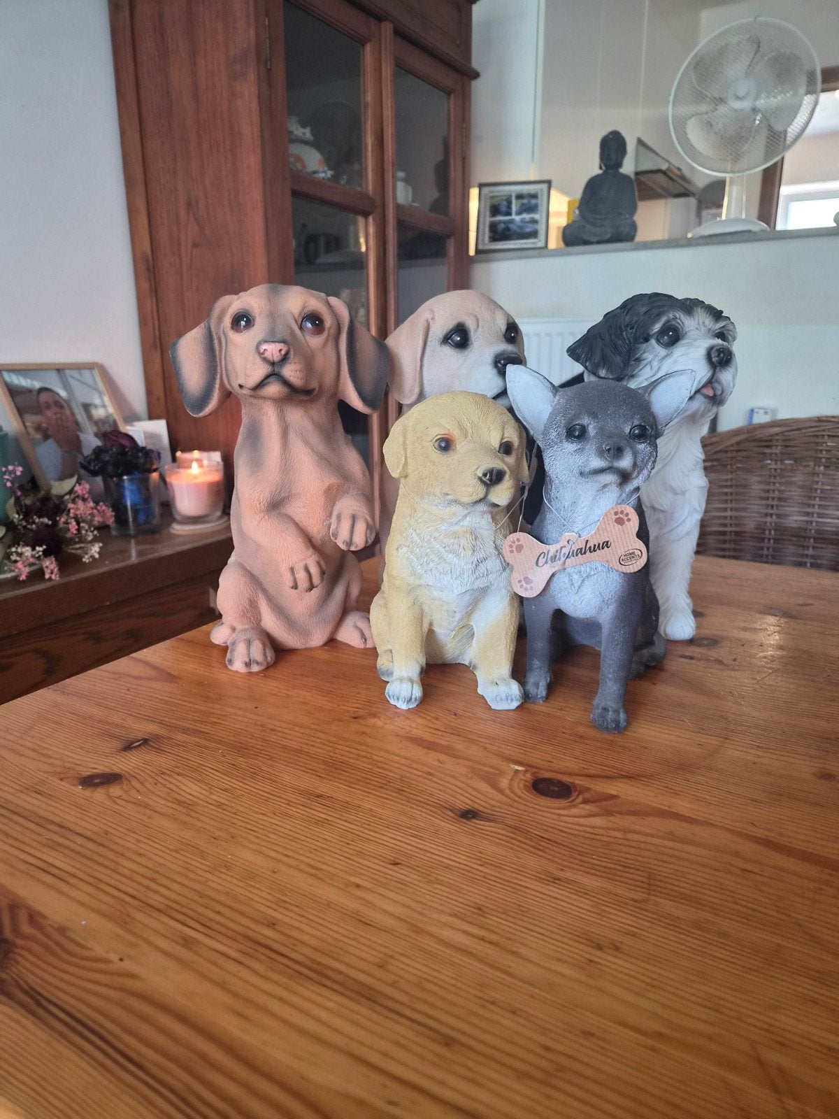 Honden te koop 20 euro en beeltjes kerst 15 euro, Enlèvement, Utilisé, Animal