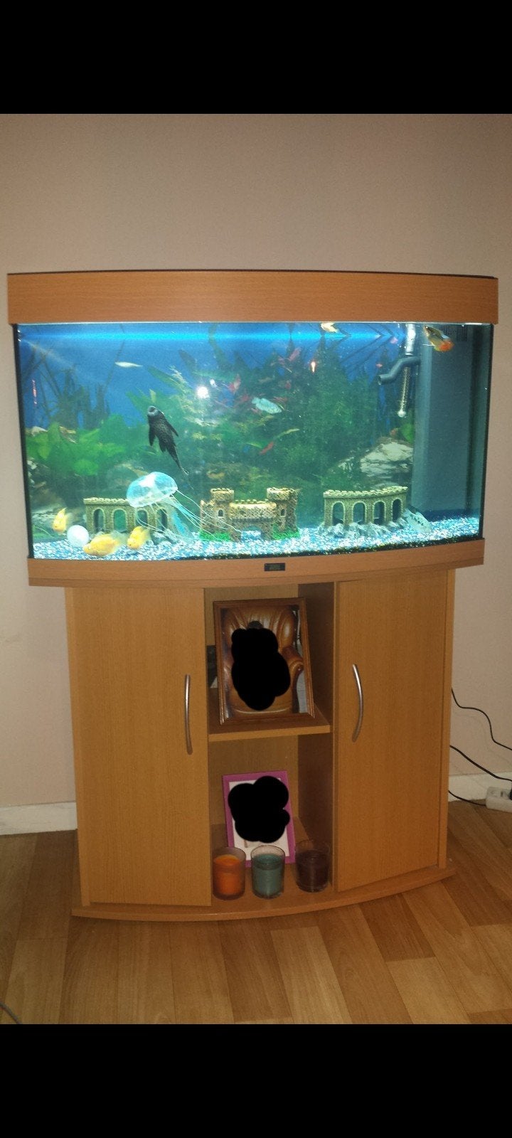 aquarium juwel avec meuble, Animaux & Accessoires, Aquarium d'eau douce rempli, Comme neuf, Enlèvement, Accessoires inclus