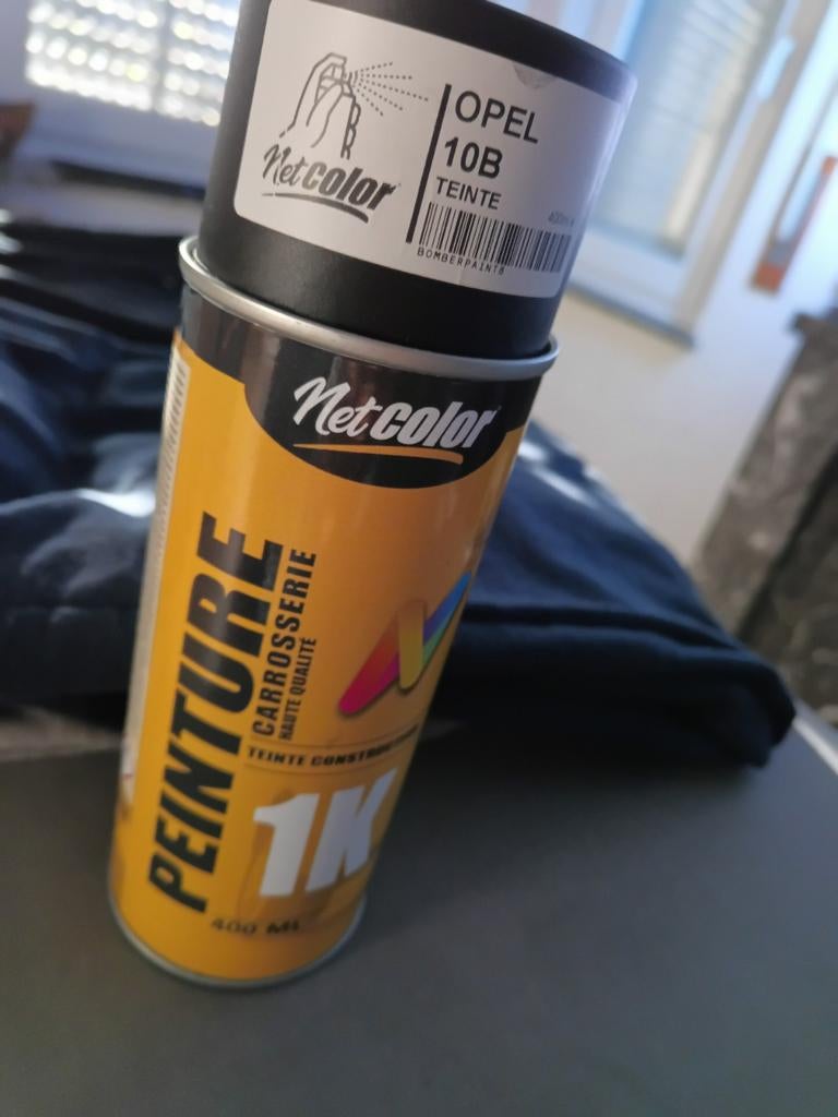 Kit peinture grise Opel, Enlèvement