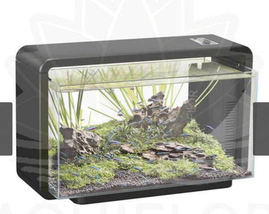Superfish home 25, Couvercle inclus, Enlèvement, Utilisé, Superfish