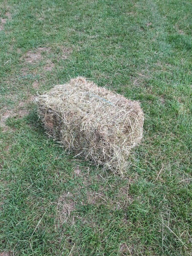 Uitstekend hooi - kleine balen, Dieren en Toebehoren, Ophalen, Nieuw