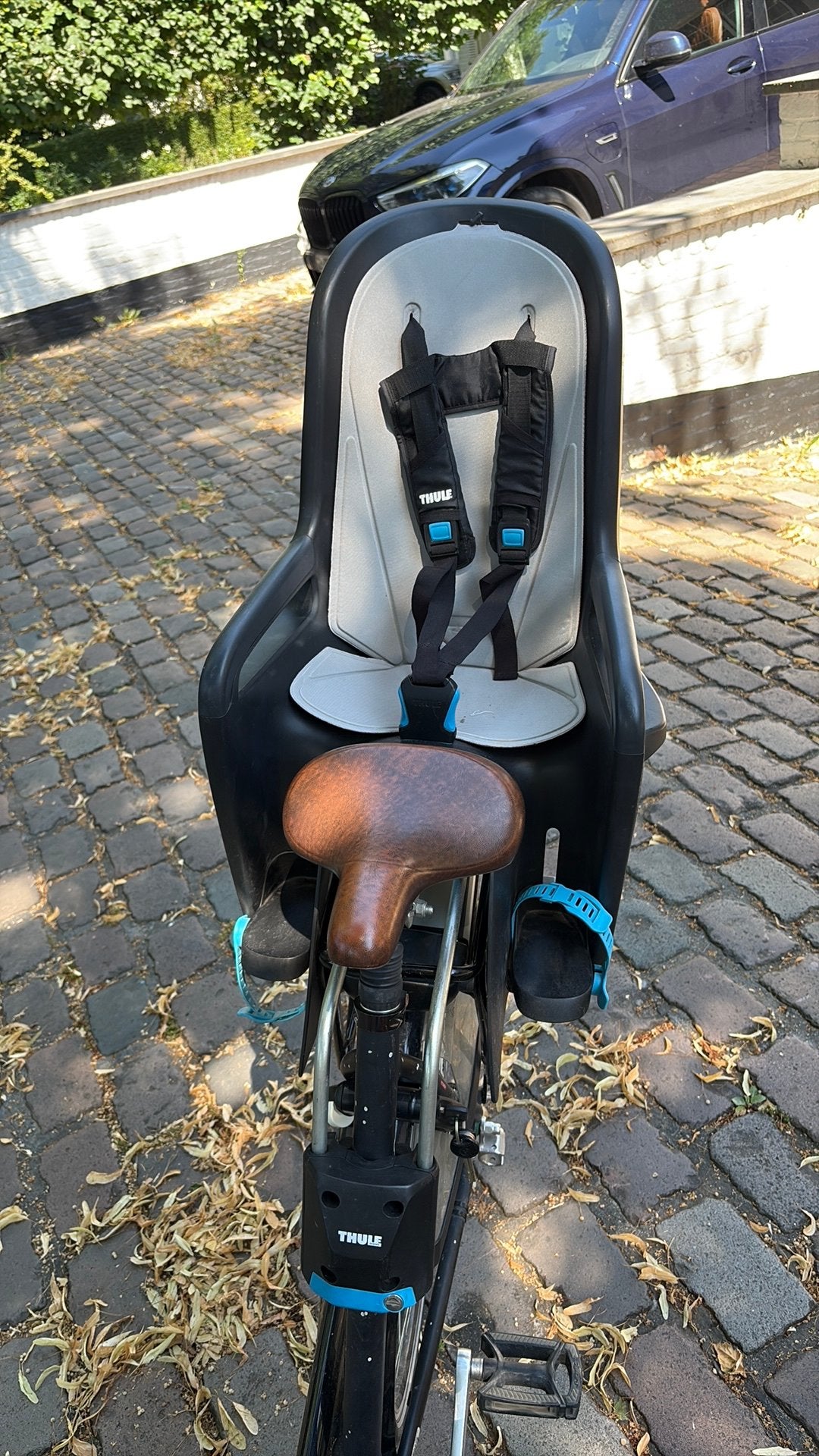 Thule fietsstoeltje max 22 kg, Ophalen, Zo goed als nieuw