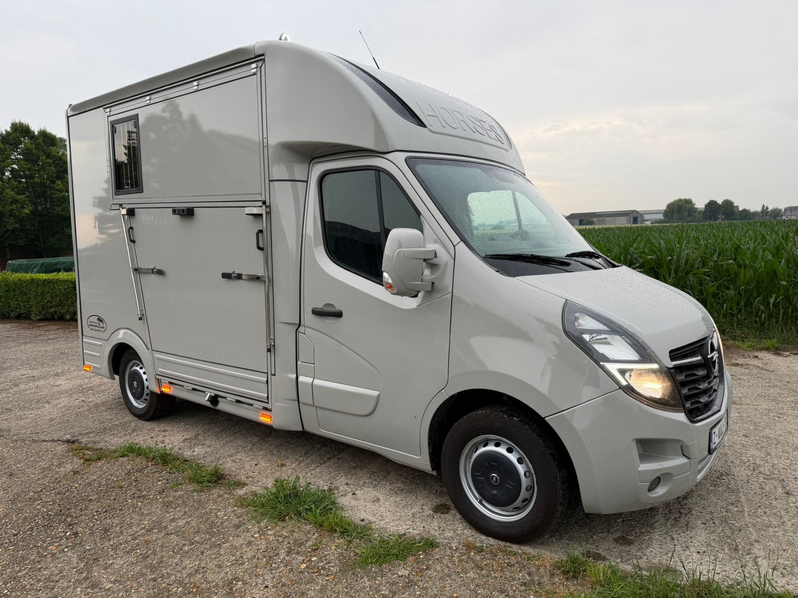 Camionette pour chevaux Opel Movano, Enlèvement, Comme neuf