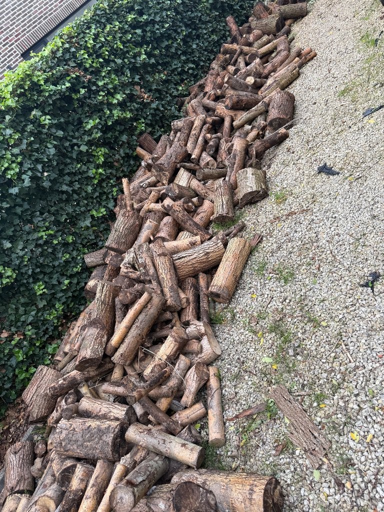 Brandhout, Tuin en Terras, Ophalen, Berkenhout, Stammen