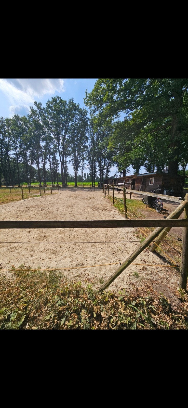 Paardenstal te huur in ’s-Gravenwezel/Schilde., Pâturage