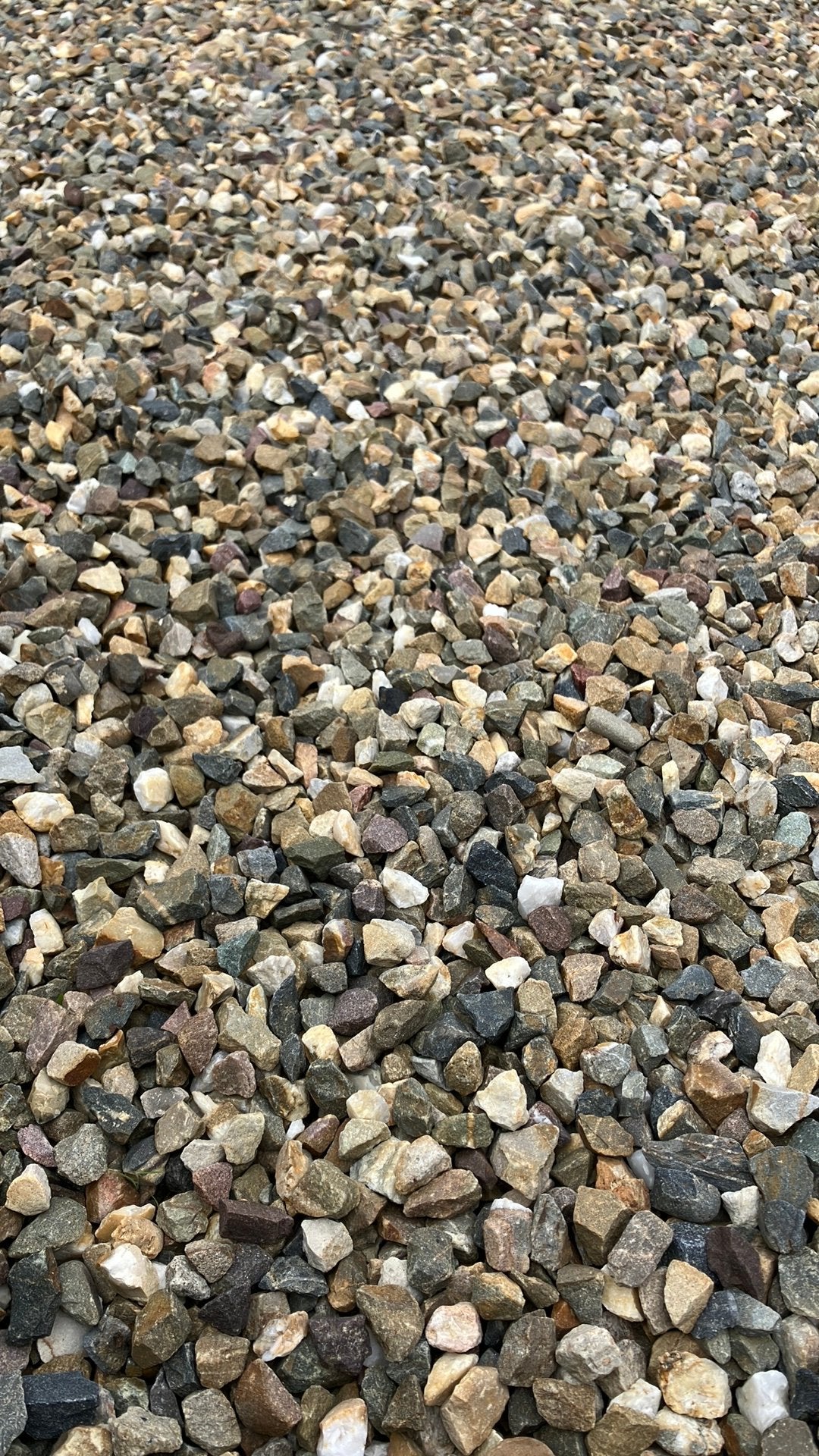 Siergrind Japanse split 11-16, Tuin en Terras, Ophalen, Zo goed als nieuw, Split