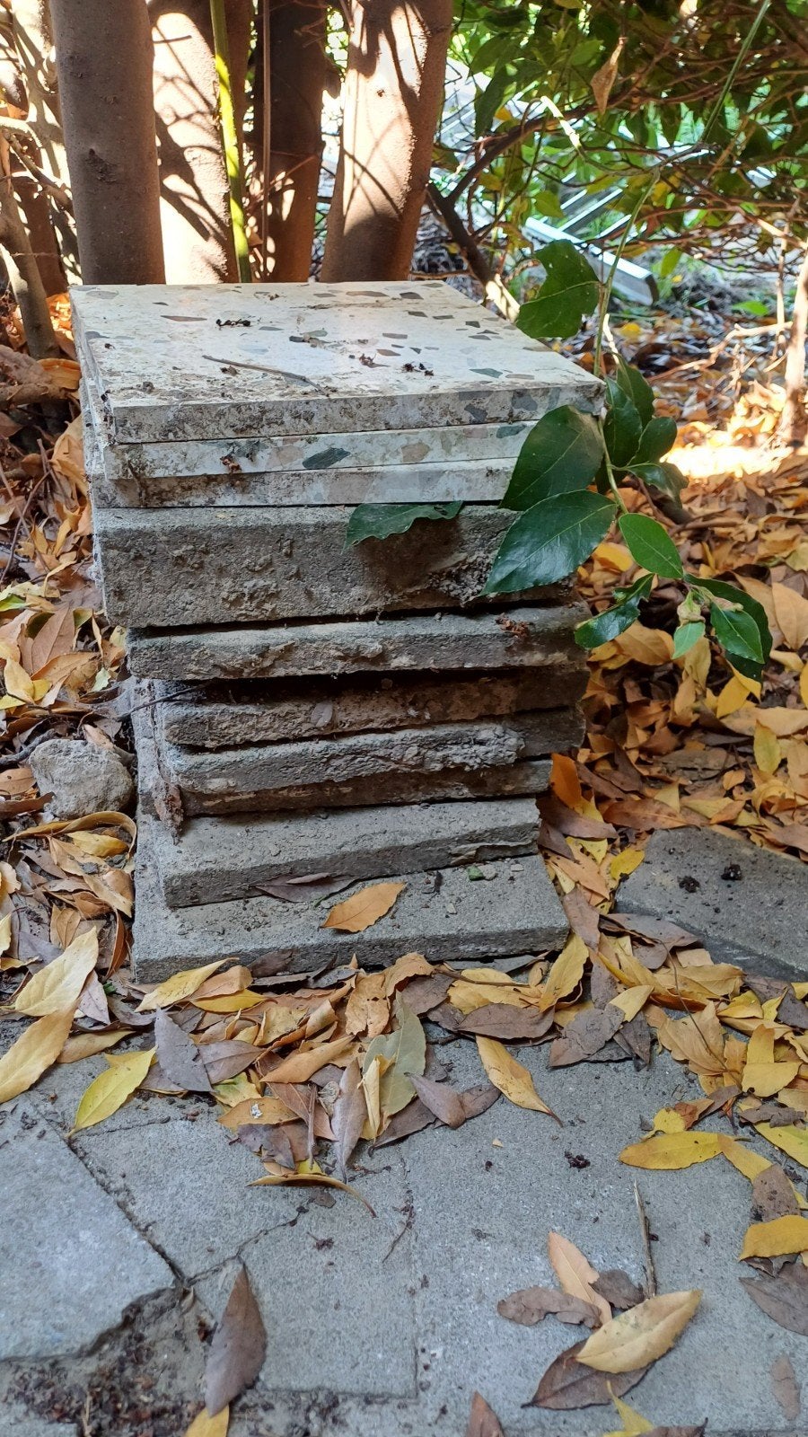 Betontegels 30x30cm, Ophalen