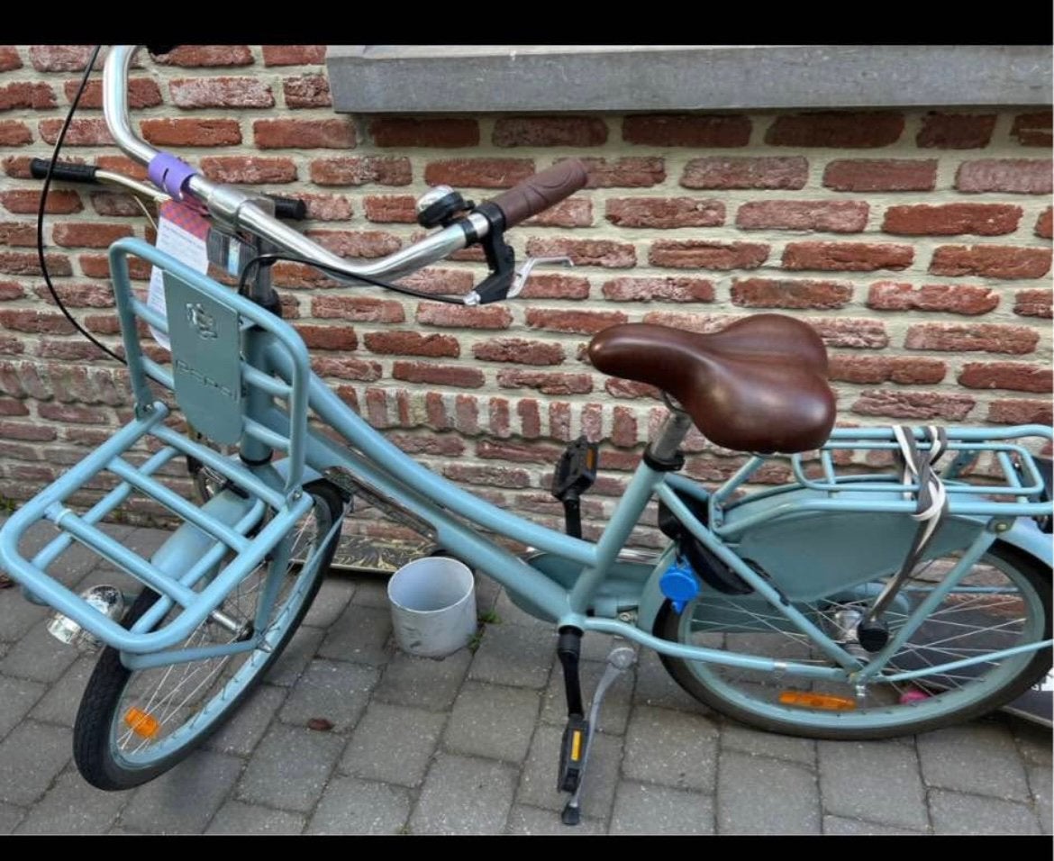Popal meisjesfiets 22 inch, Ophalen, 22 inch, Gebruikt, Velgrem