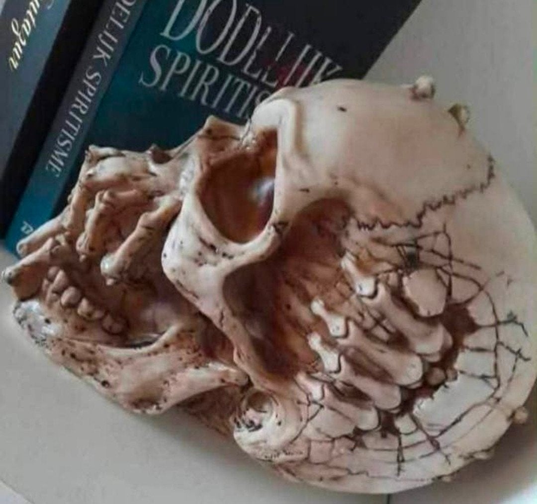 Skull, Dieren en Toebehoren