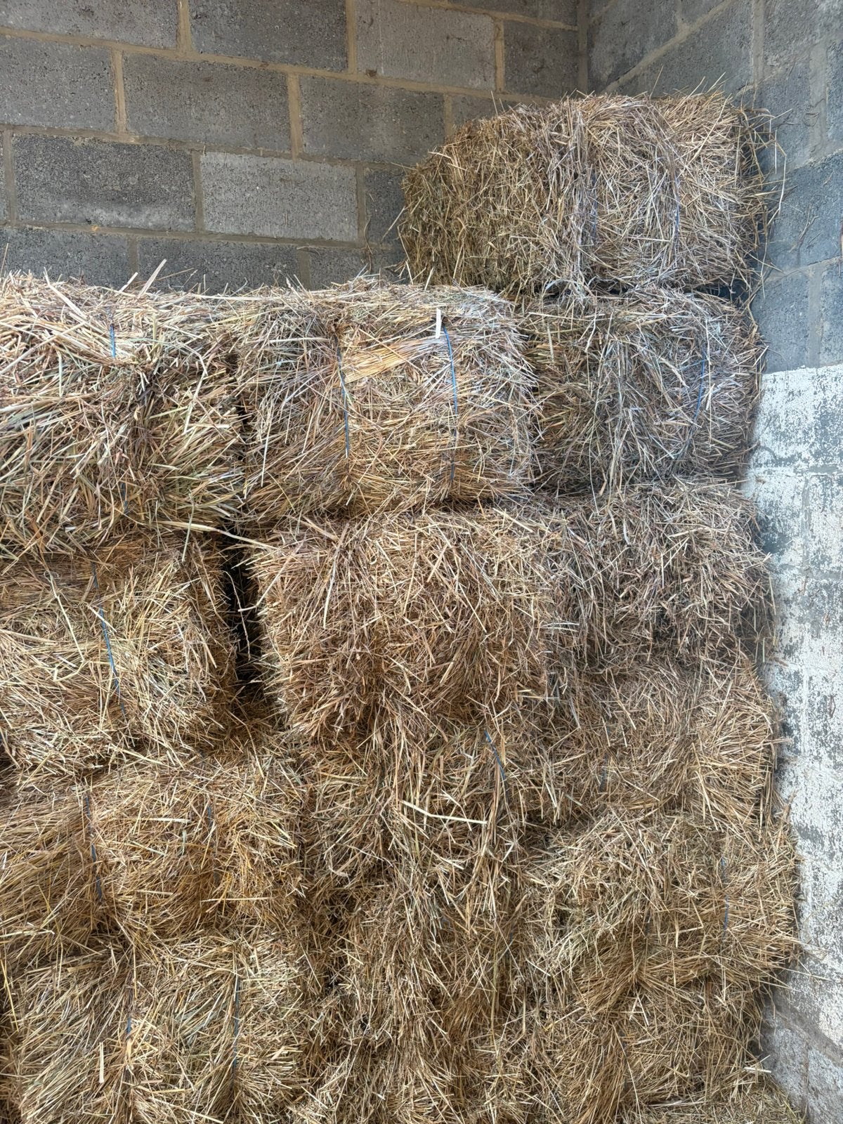 Kleine pakjes hooi te koop, Enlèvement