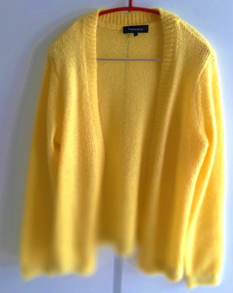 Te koop: Nieuw! Mooie gele cardigan van "Terre Bleue", 40., Kleding | Dames, Truien en Vesten, Terre Bleue, Geel, Nieuw, Ophalen