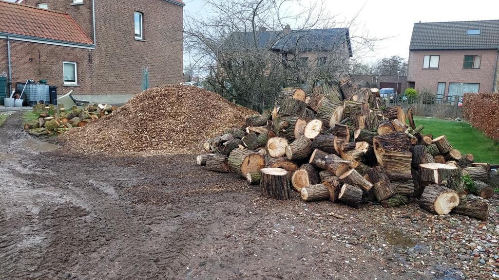 Wilg brandhout, Jardin & Terrasse, Bois de chauffage, Bûches, Autres essences de bois, 6 m³ ou plus, Enlèvement