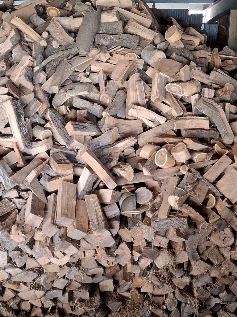 Brandhout - Essen hout - 4 jaar gedroogd, 6 m³ ou plus, Enlèvement, Frêne, Bûches