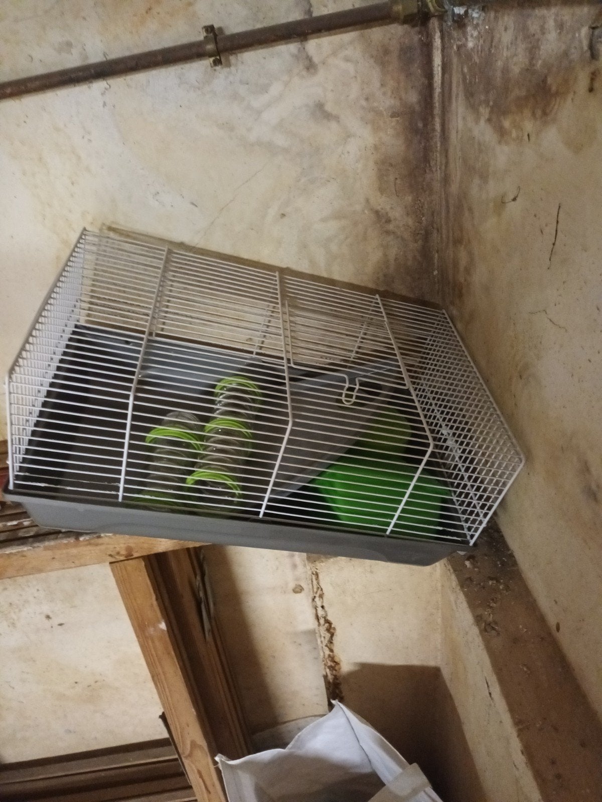 Gratis hamsterkooi, Enlèvement