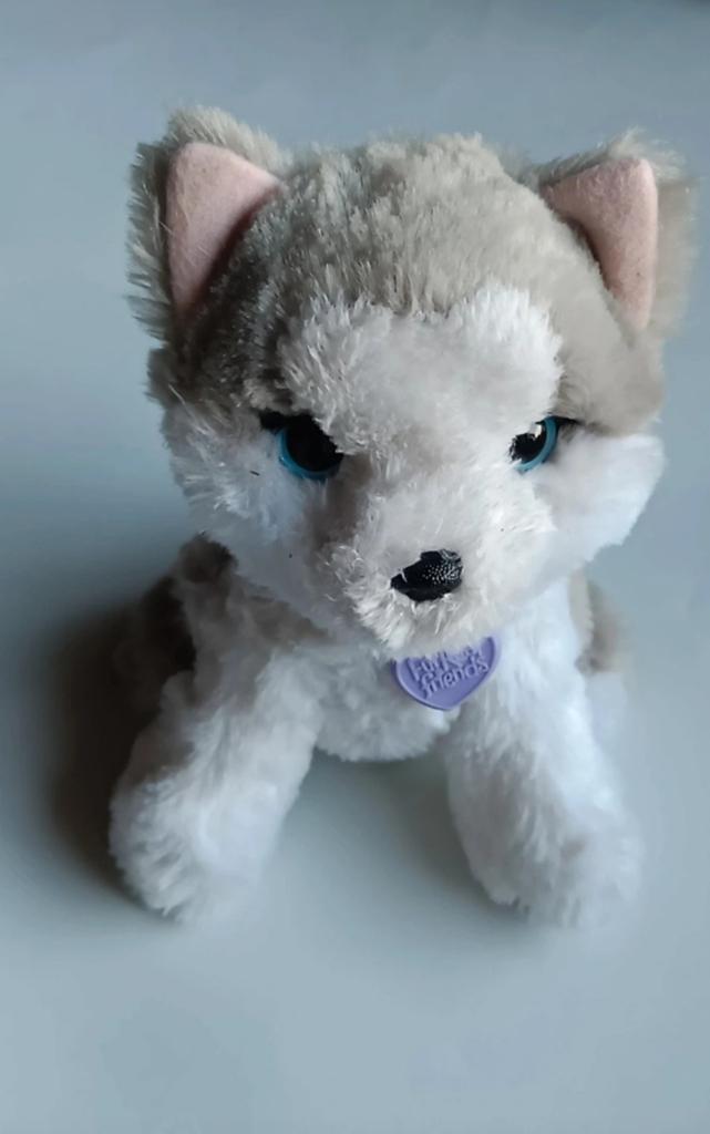 Furreal hondje, Ophalen of Verzenden