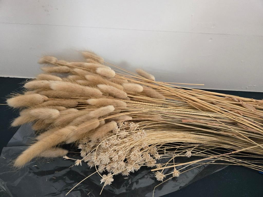 Droogbloemen, Huis en Inrichting, Ophalen, Nieuw
