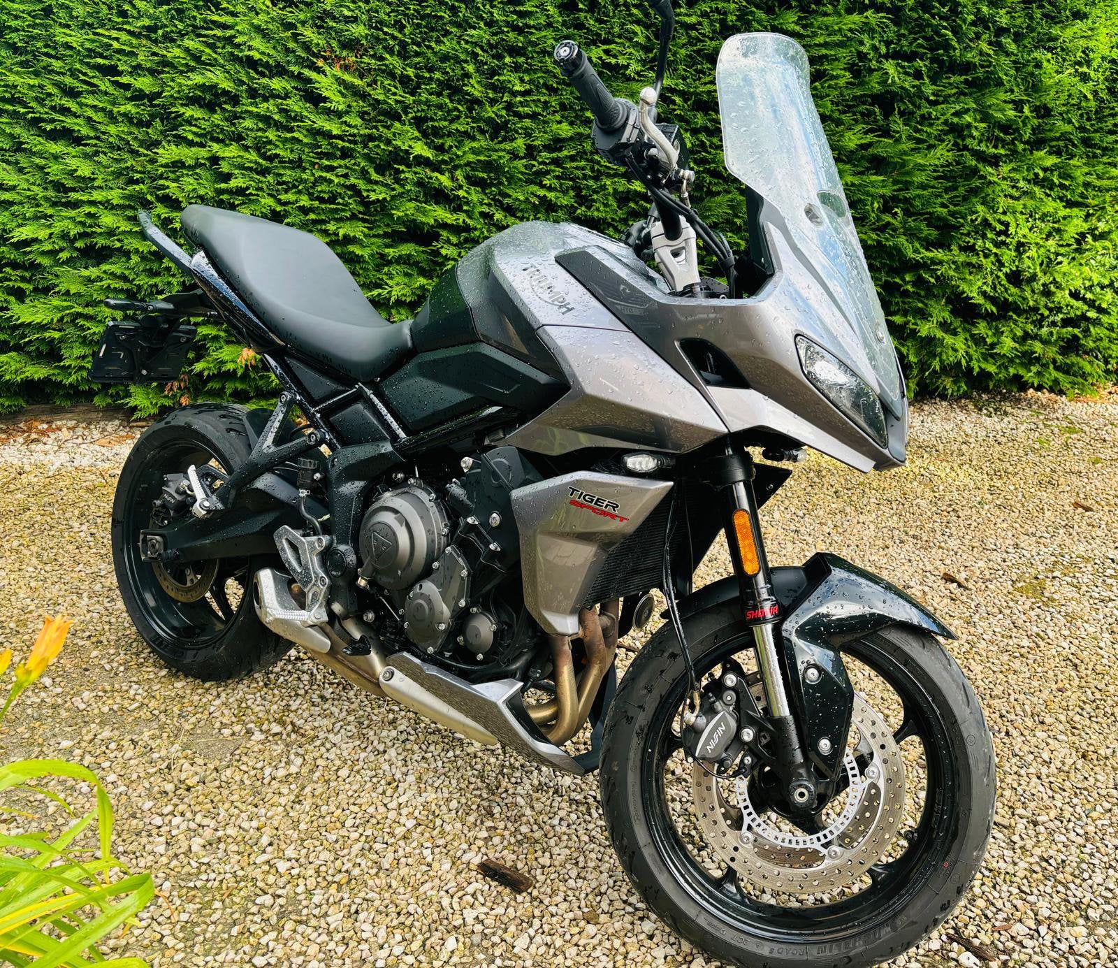 Triumph Tiger Sport 660cc 81cv état neuf , 1er proprio, Motos, Particulier, Neuf, Sport