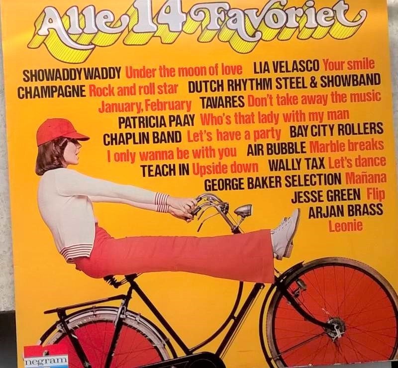 LP alle 14 favoriet (NZ2), LP, Ophalen of Verzenden, Zo goed als nieuw, Complilatie