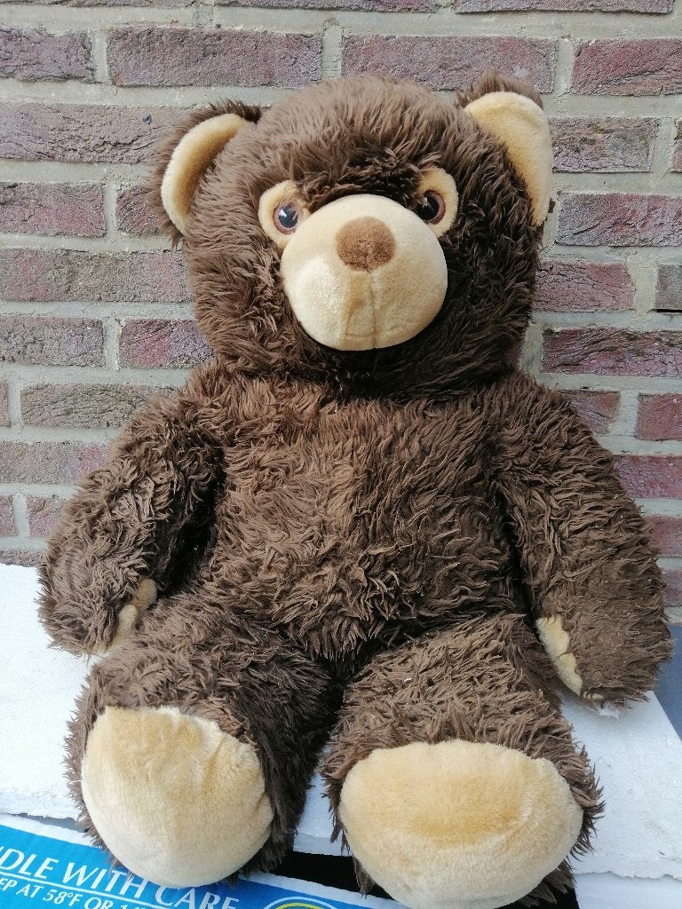 Ours en peluche, Collections, Ours & Peluches, Enlèvement, Utilisé, Autres types