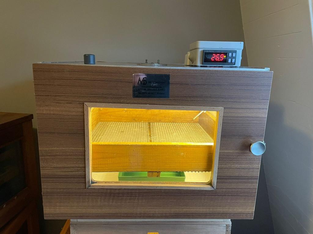 Broedmachine MS, Dieren en Toebehoren, Ophalen, Broedmachine