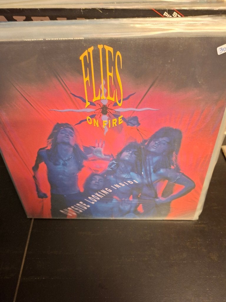 lp - flies on fire - outside looking inside - bak 6, Avec pochette intérieure, Enlèvement ou Envoi, Comme neuf, Hard rock