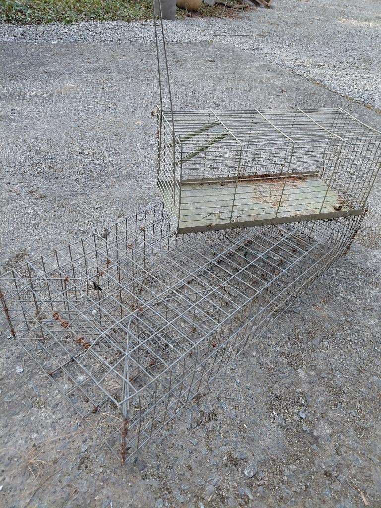 piège a rat, Enlèvement, Utilisé