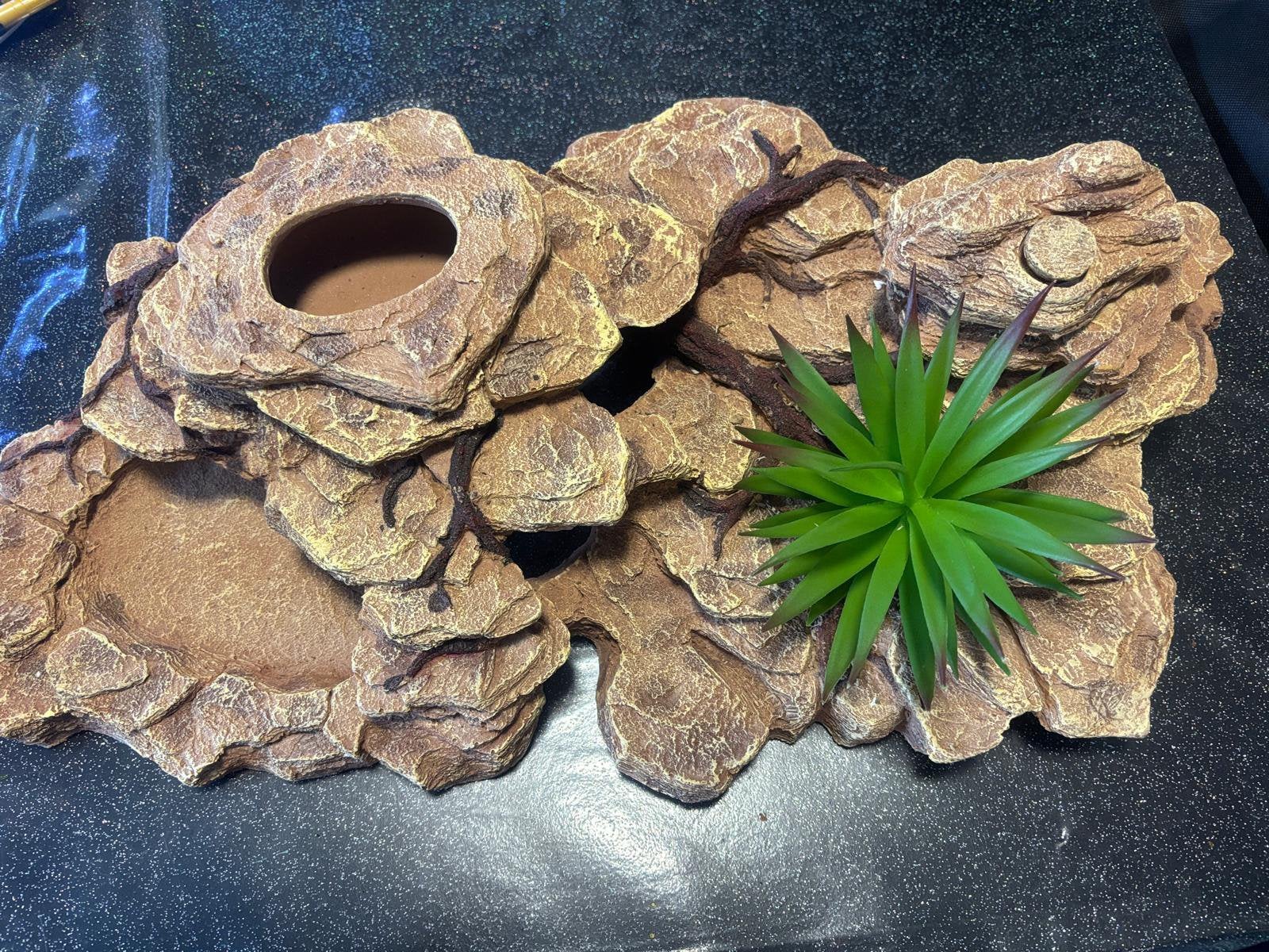 Décoration multifonction pour terrarium SCALARE – Neuve, Animaux & Accessoires, Enlèvement, Neuf, Autres types