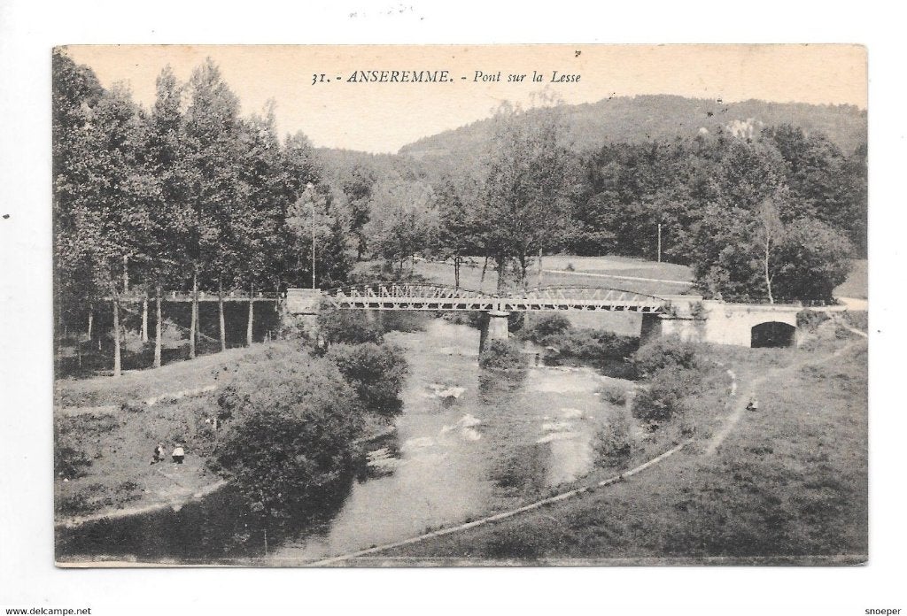 *anseremme pont sur lesse 31 henri georges, Enlèvement ou Envoi, Non affranchie, Namur