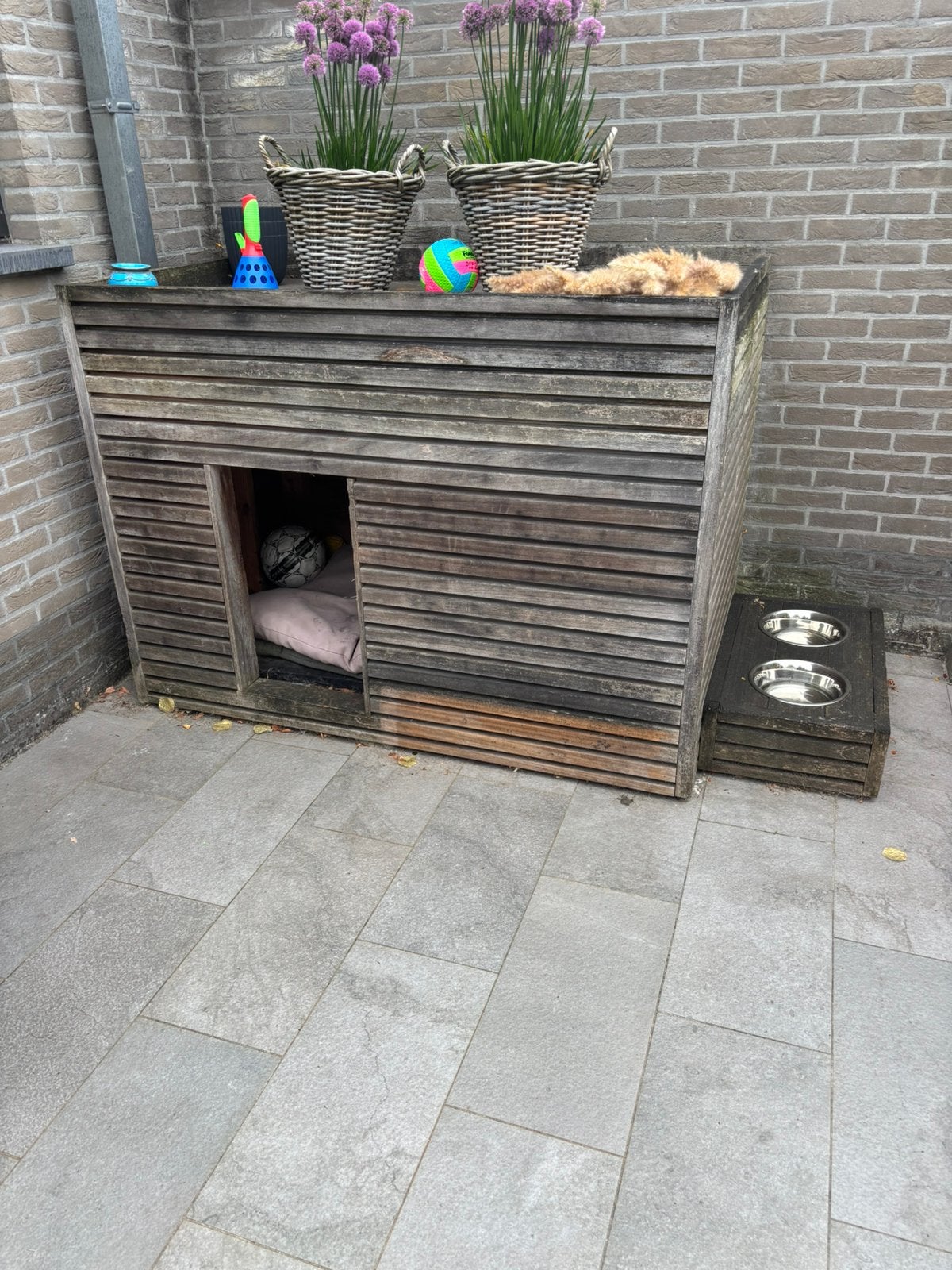 Hondenhok, Dieren en Toebehoren, Hondenhokken, Ophalen, 100 cm of meer, Hondenhok, 110 cm of meer