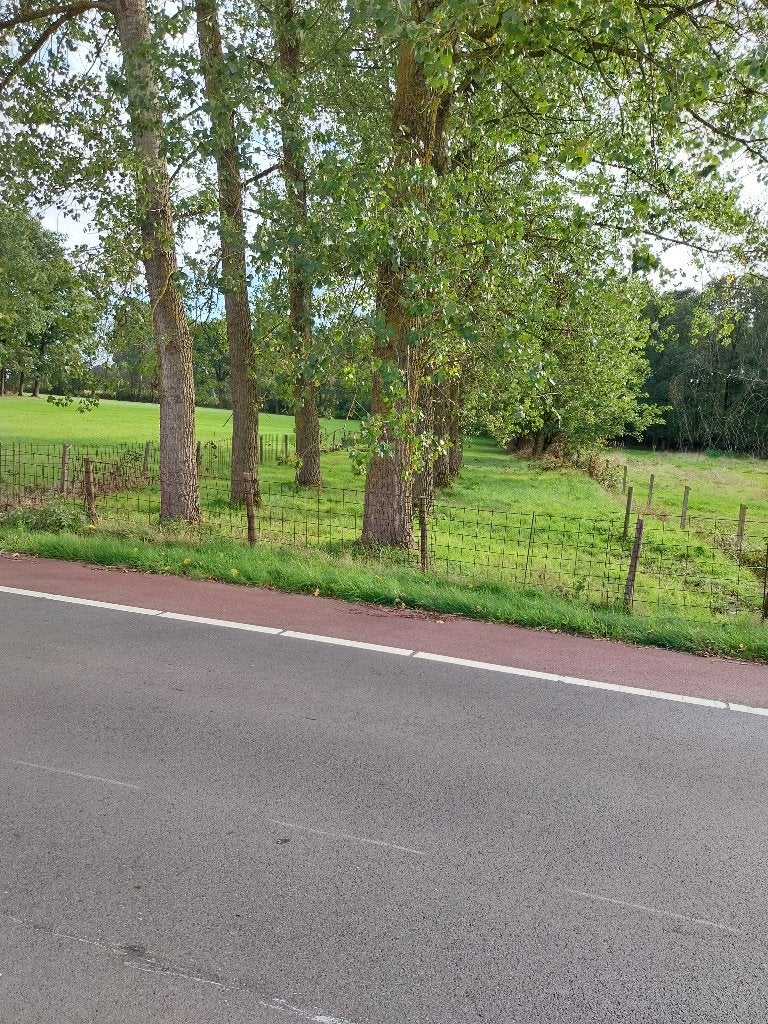 stukje  natuurgrond Te Koop, Immo, Oudsbergen, Verkoop zonder makelaar, 1000 tot 1500 m²