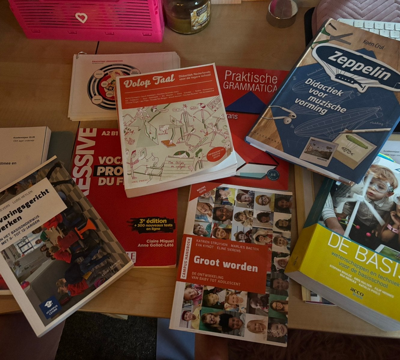 Boeken UCLL eerste jaar leerkracht lager onderwijs, Enlèvement, Comme neuf, Enseignement supérieur professionnel
