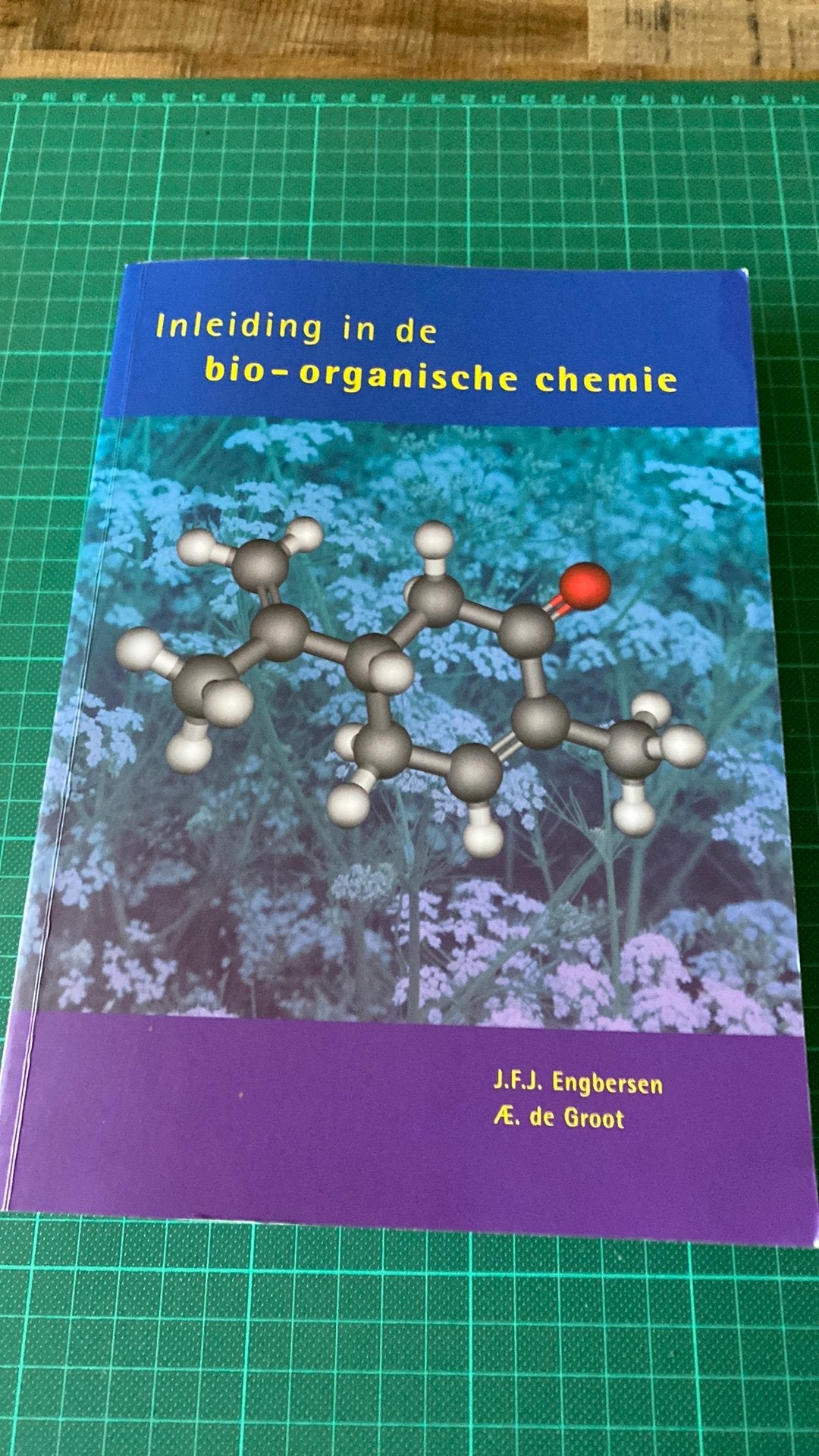 AE. de Groot - Inleiding in de bio-organische chemie, Boeken, Ophalen, AE. de Groot; J.F.J. Engbersen