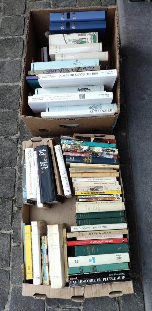 Groot lot Franstalige boeken, Boeken, Ophalen of Verzenden