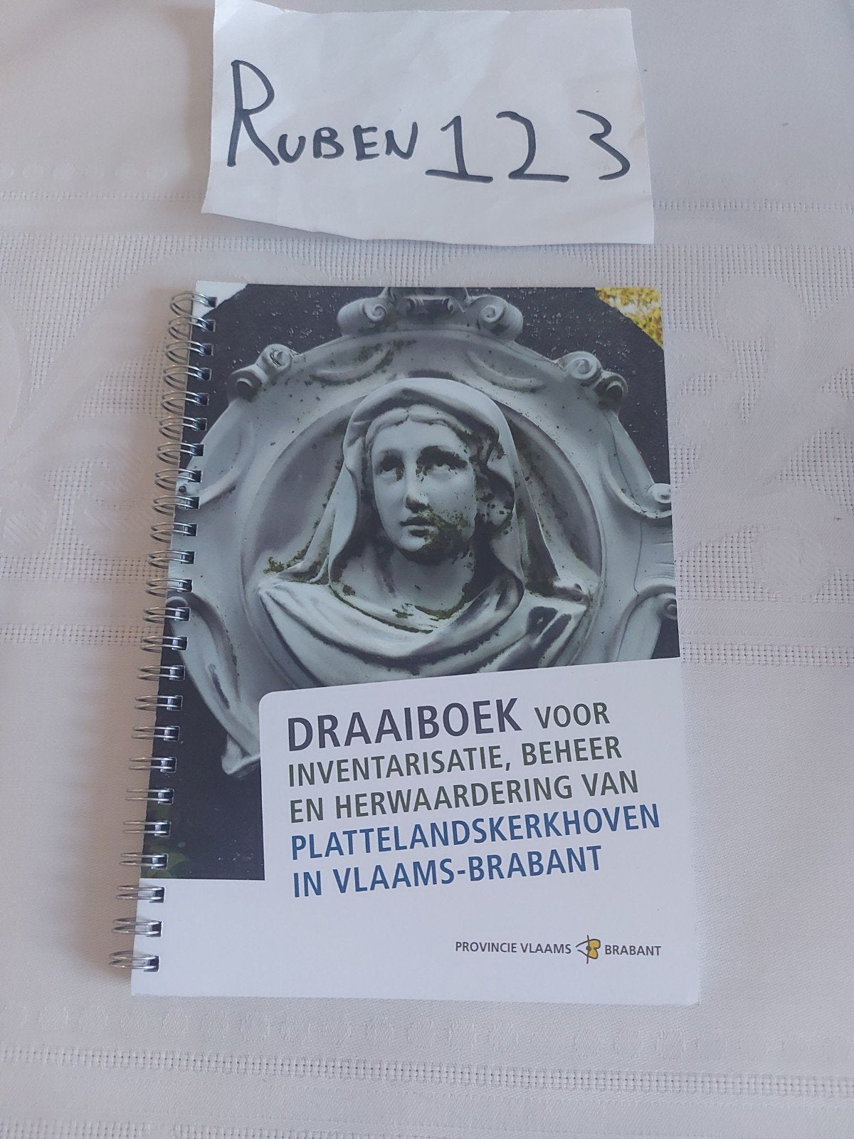 Draaiboek beheer herwaardering kerkhoven Vlaams-Brabant, Boeken, Ophalen of Verzenden